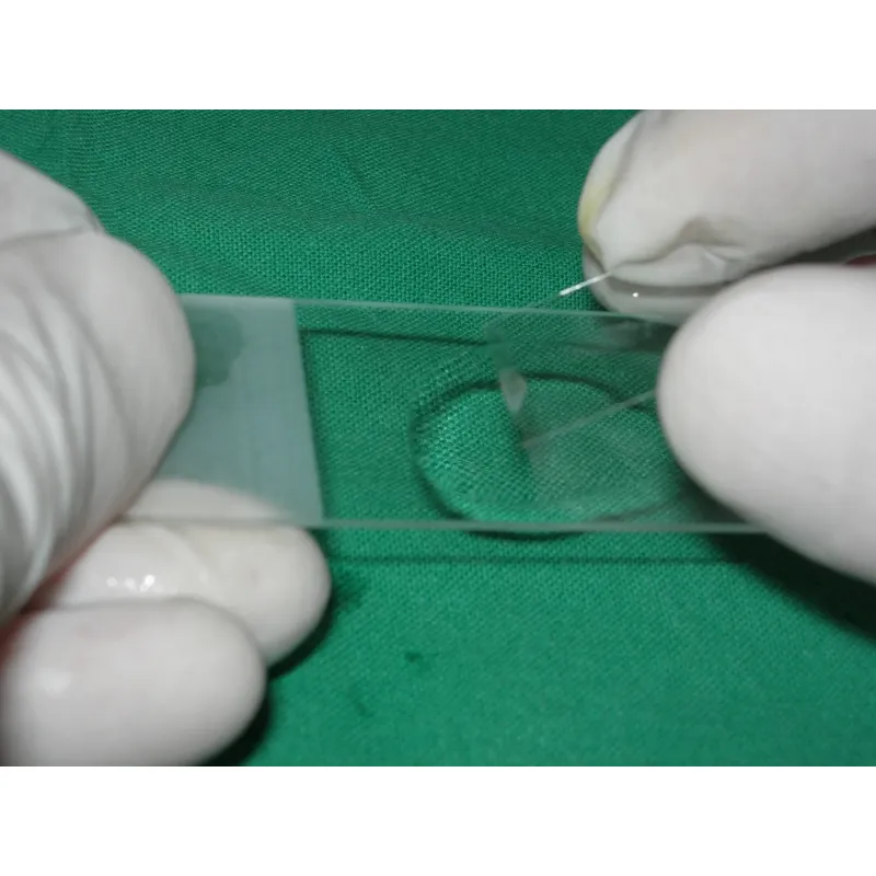Lames de microscope en verre à bords rodés Lames de microscope sans  revêtement